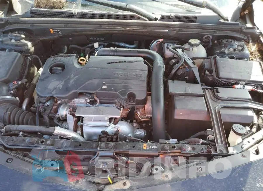 1G1ZD5ST9MF076568 Photo# 11