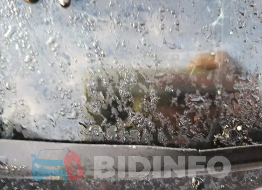 2C3CDXGJ4JH329729 Photo# 10