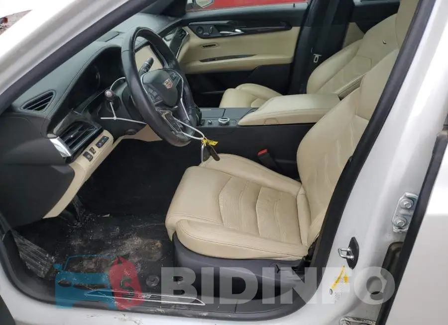 1G6KD5RS9KU131019 Photo# 7