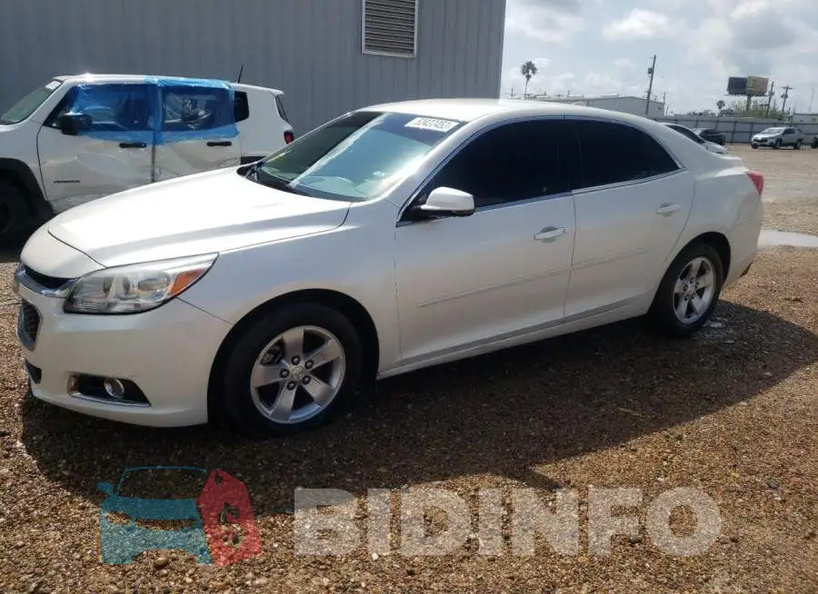 1G11E5SLXEF225341 Photo# 1
