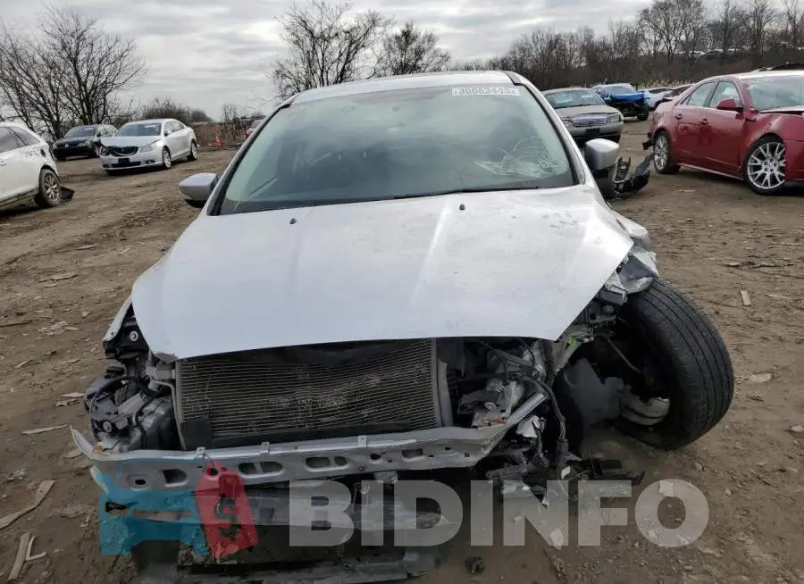 1FADP3F21GL264544 Photo# 5