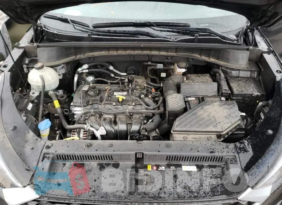 KM8J2CA44LU158187 Photo# 12