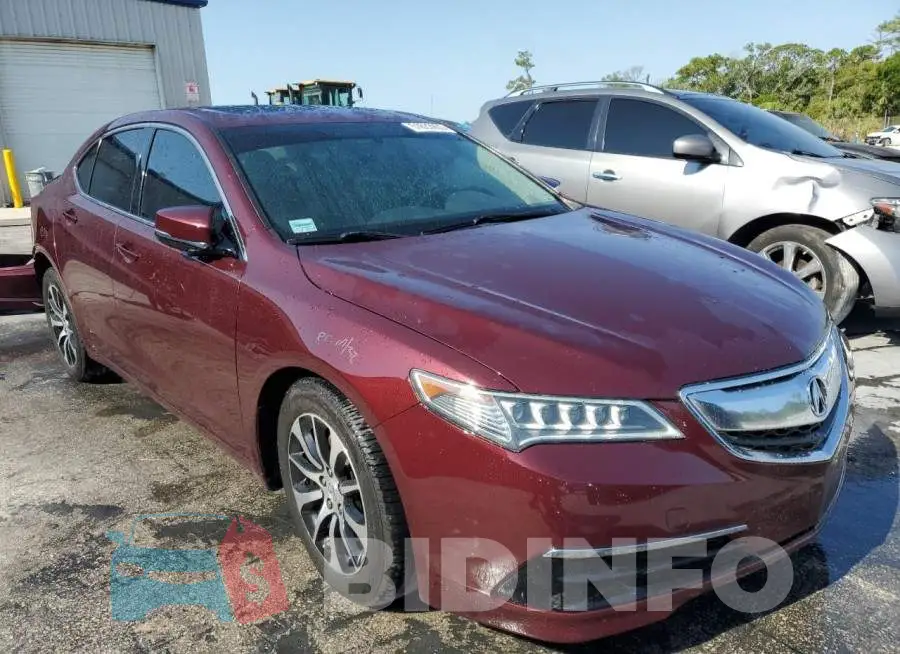 19UUB1F31FA003514 Photo# 4