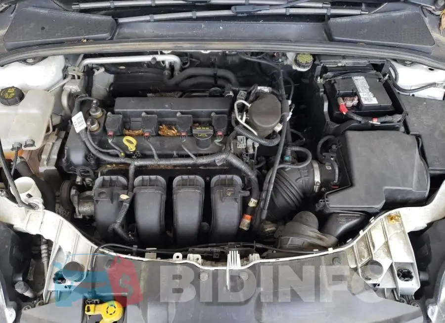 1FADP3F26EL243699 Photo# 11