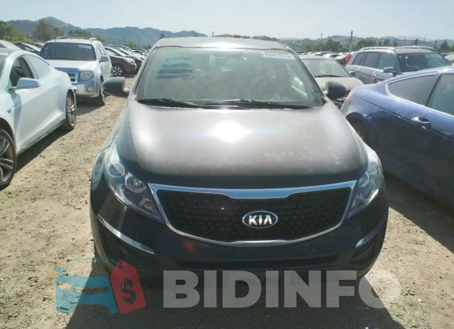 KNDPB3AC6G7855015 Photo# 5