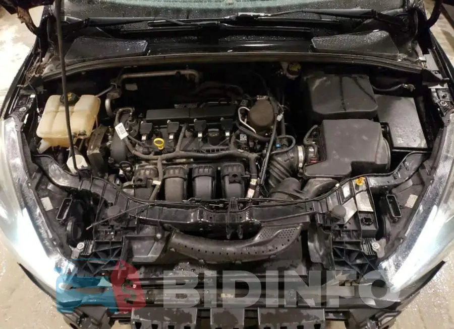 1FADP3F24GL282469 Photo# 11