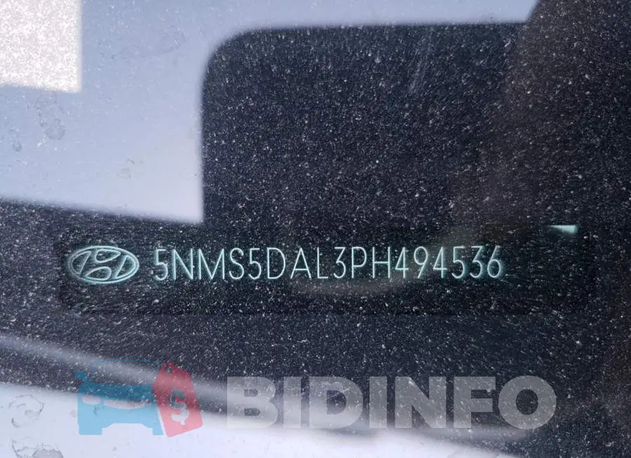 5NMS5DAL3PH494536 Photo# 13