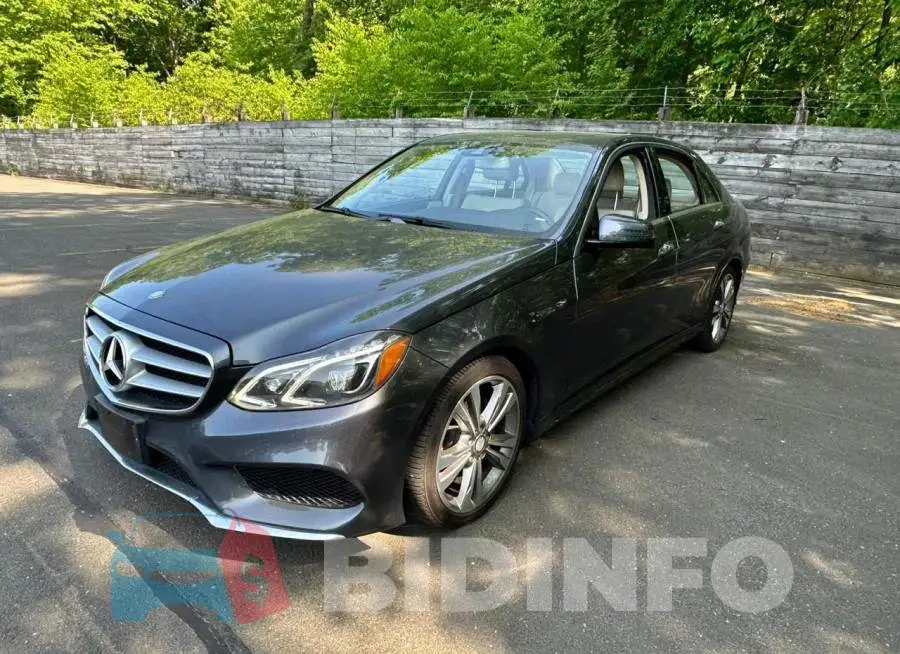 WDDHF8JB1FB131943 Photo# 1