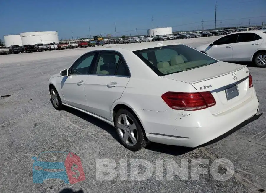 WDDHF8JB4EA818774 Photo# 2