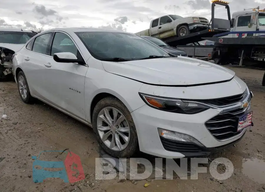 1G1ZD5ST5KF146497 Photo# 4