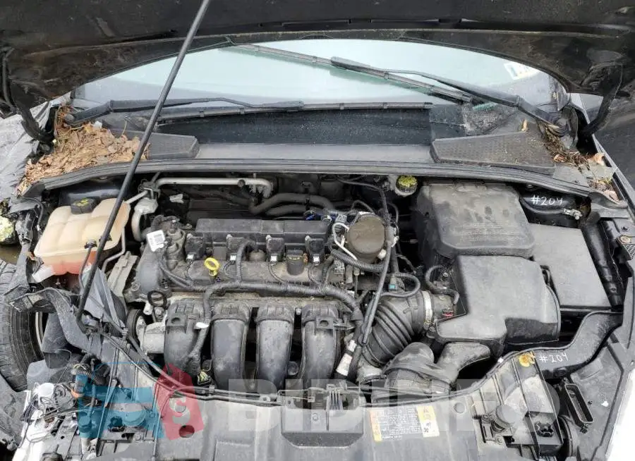 1FADP3F24GL220182 Photo# 11