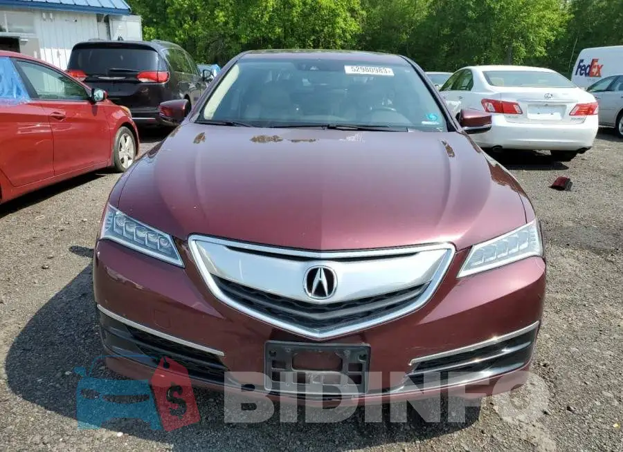 19UUB2F55FA008531 Photo# 5