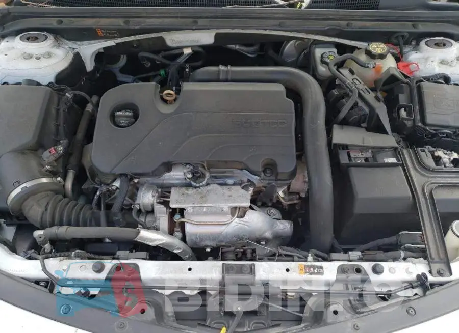 1G1ZD5ST1KF185068 Photo# 11