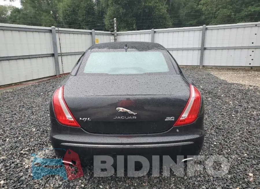 SAJWJ2GD1F8V84240 Photo# 6