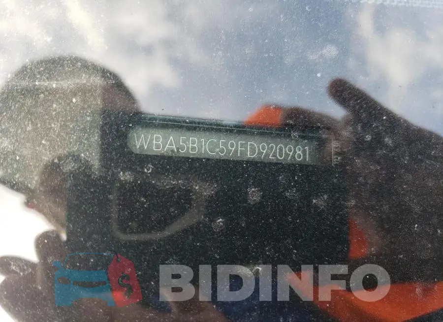 WBA5B1C59FD920981 Photo# 12