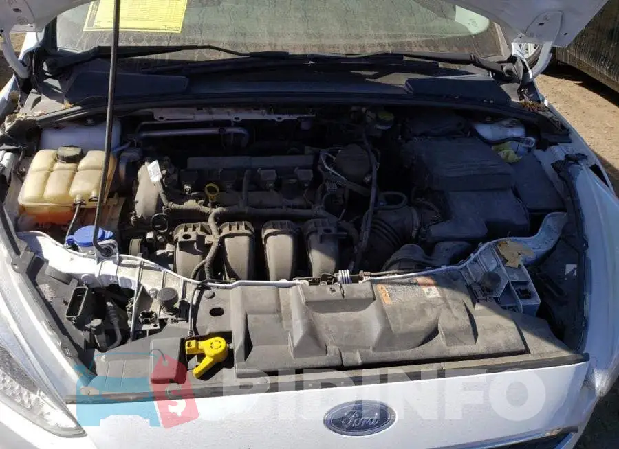 1FADP3F2XGL216184 Photo# 11