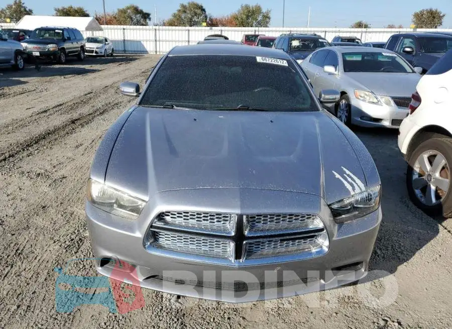 2C3CDXBG3EH172907 Photo# 5