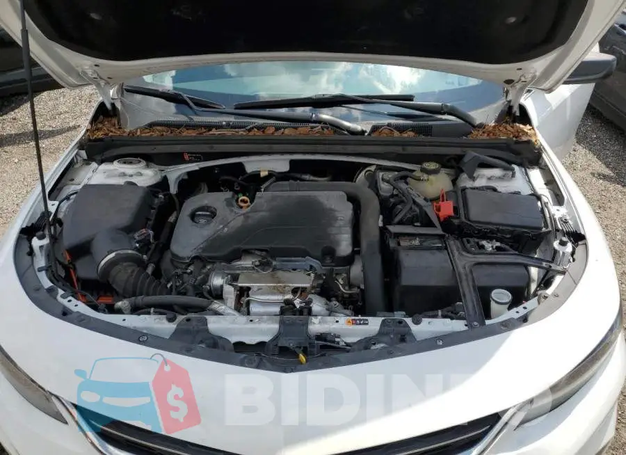 1G1ZB5ST5JF211742 Photo# 11