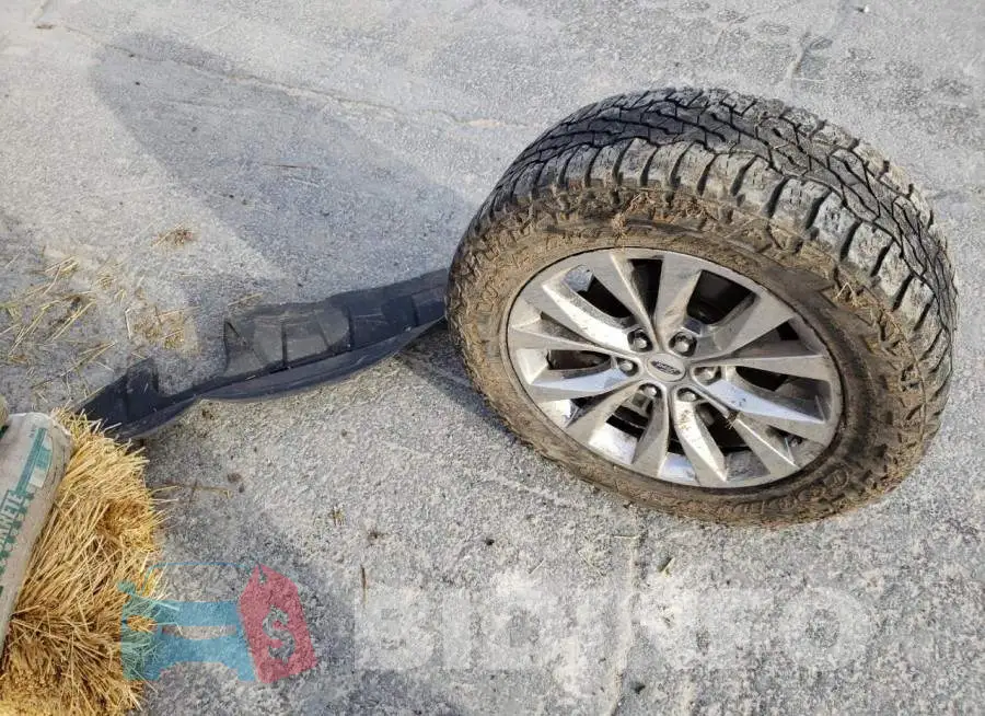 1FTEW1EG5HKC17110 Photo# 12