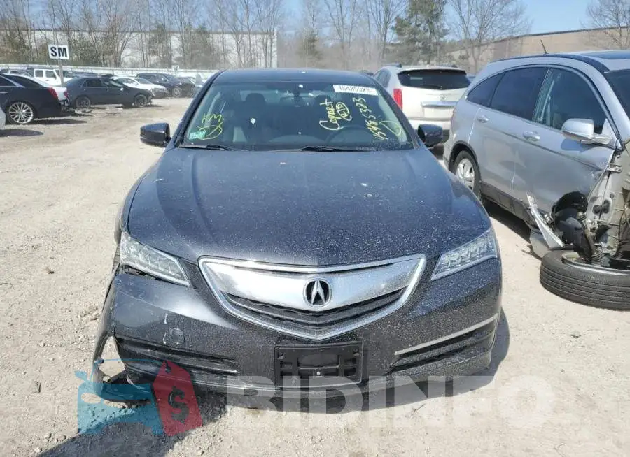 19UUB1F33GA008148 Photo# 5