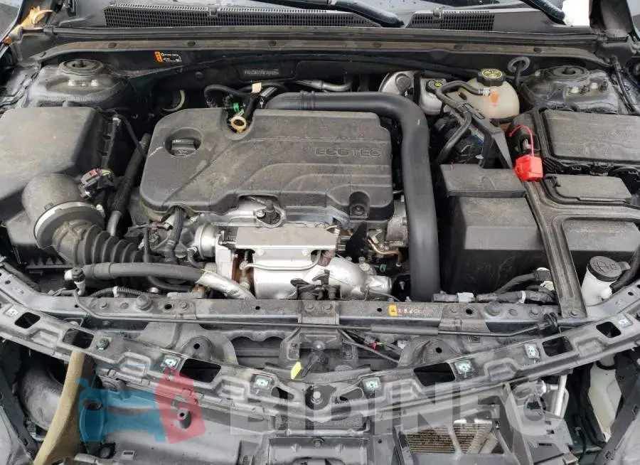 1G1ZD5ST4MF007836 Photo# 11