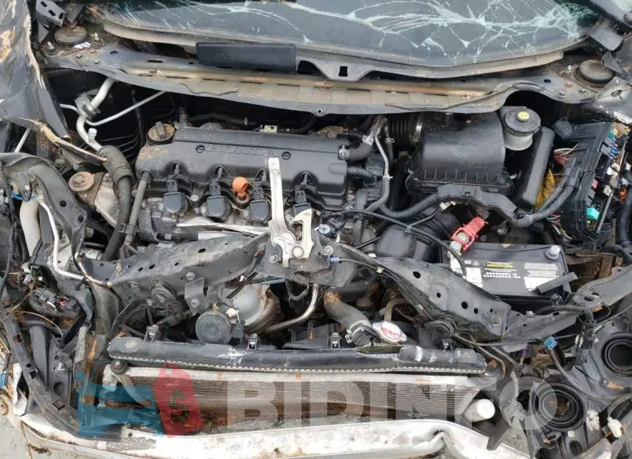 19XFB2F55EE022089 Photo# 7
