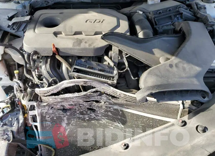 5XXGT4L39GG039116 Photo# 11