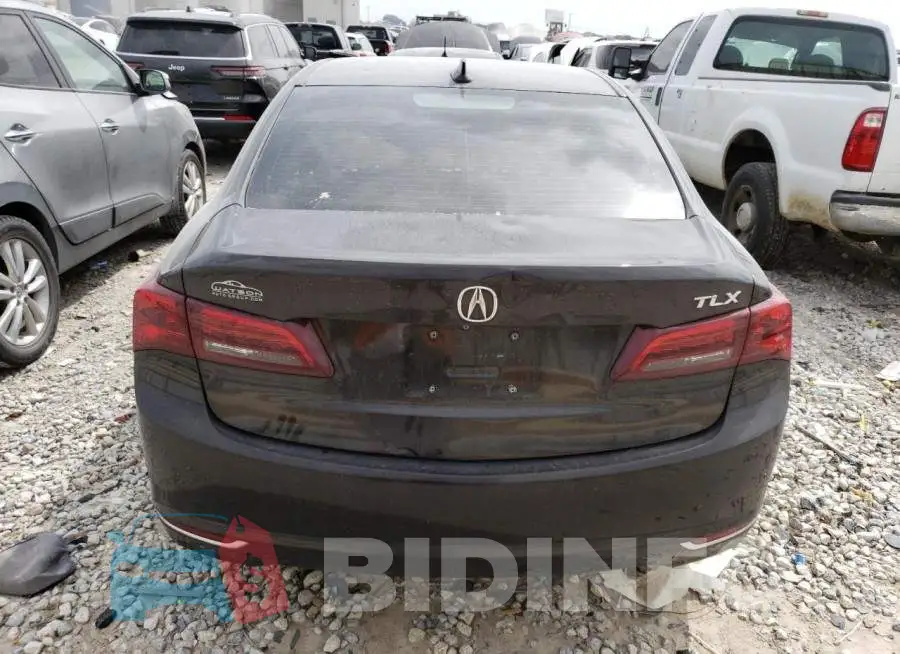 19UUB1F56FA010704 Photo# 6