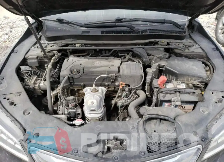 19UUB1F56FA010704 Photo# 11