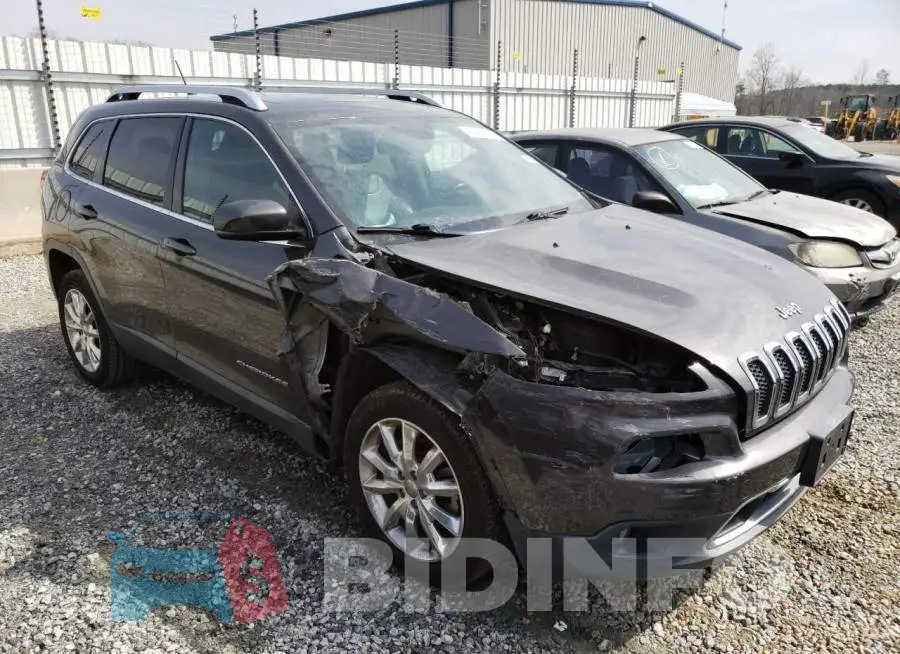 1C4PJLDB4EW245137 Photo# 4