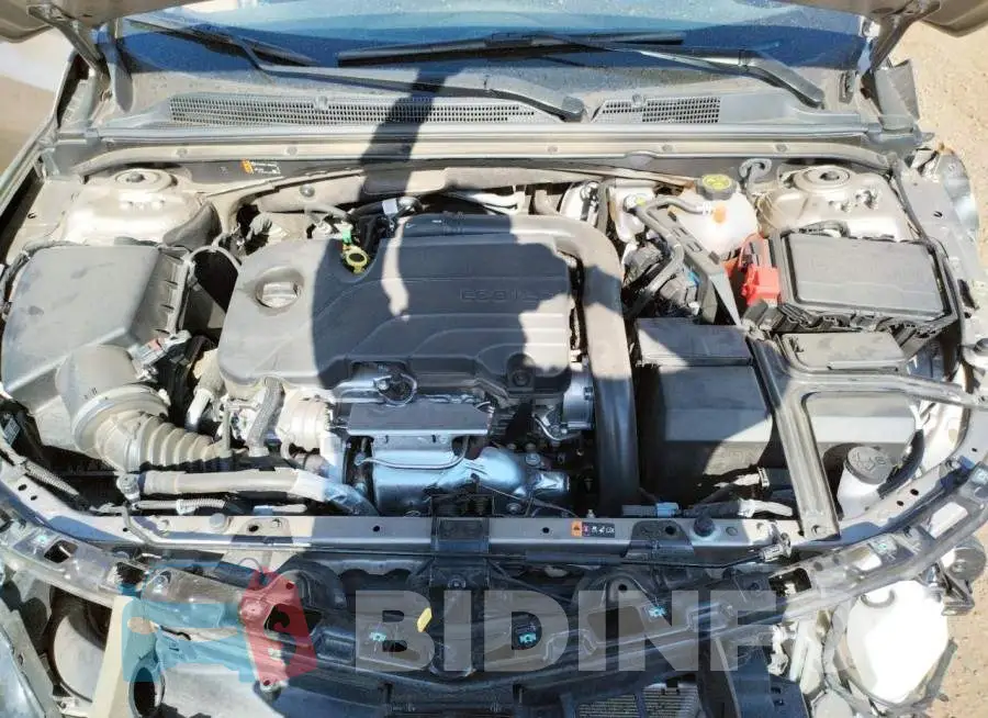 1G1ZD5ST1NF195233 Photo# 11