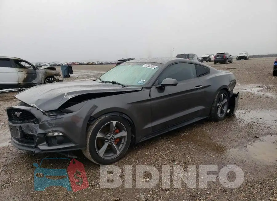 1FA6P8AMXG5256462 Photo# 1