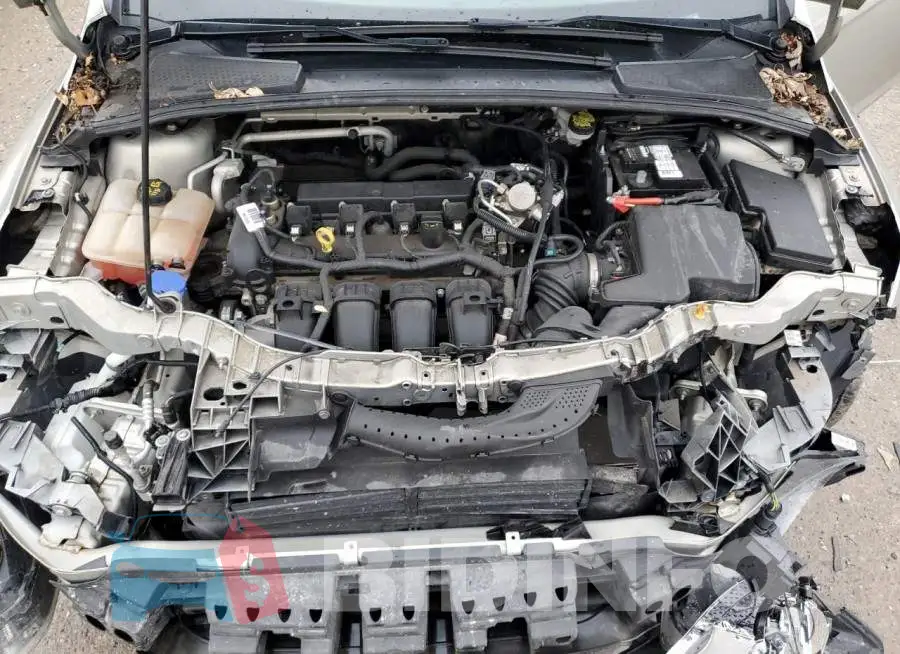 1FADP3F24GL336272 Photo# 11