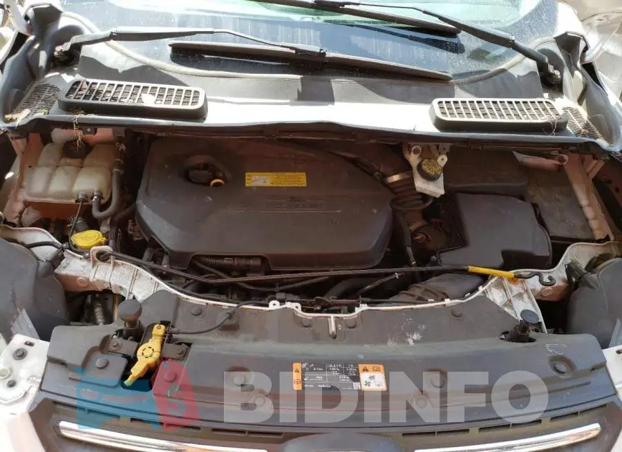 1FMCU0GX0EUC34784 Photo# 12
