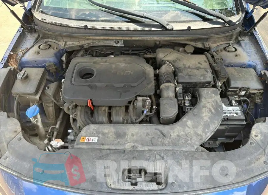 5NPE24AF7HH562521 Photo# 7