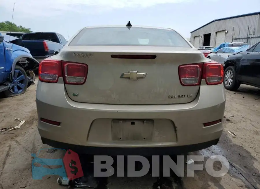 1G11B5SL1FF351579 Photo# 6