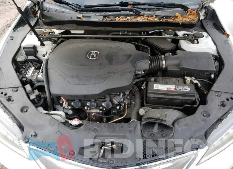 19UUB2F54FA012103 Photo# 11