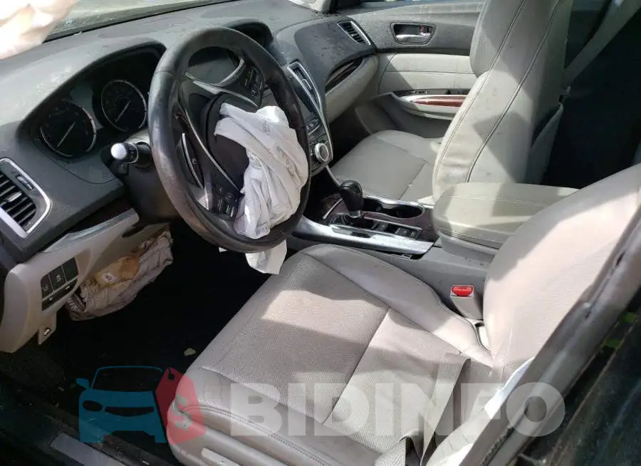 19UUB1F51FA006186 Photo# 7