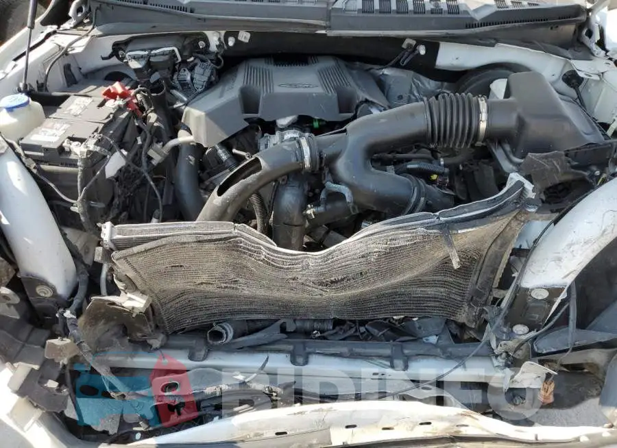 1FTEW1C41KKE20351 Photo# 11
