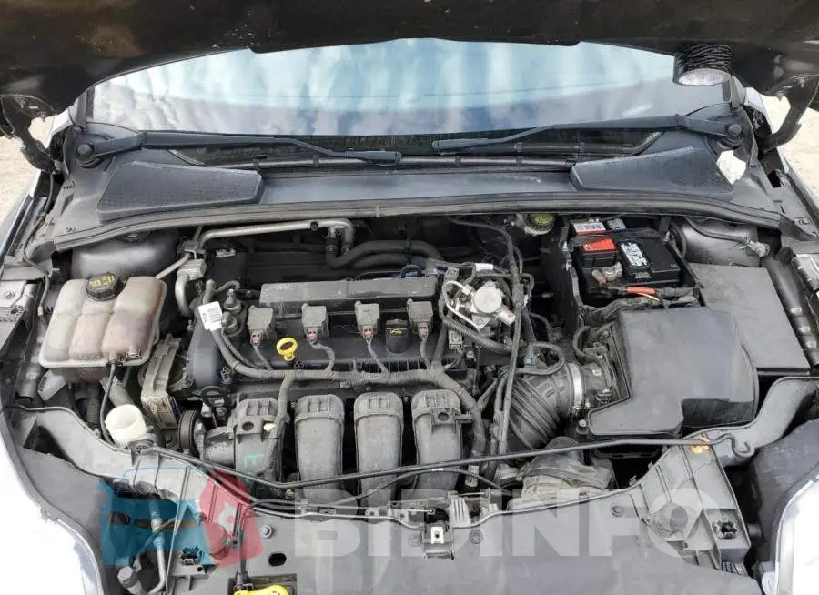 1FADP3F21EL399455 Photo# 11