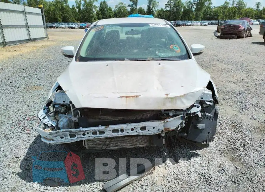 1FADP3F29GL201370 Photo# 5