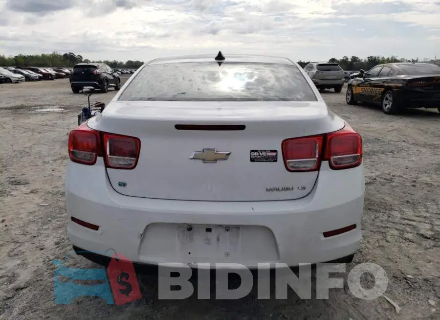 1G11B5SL1FF351405 Photo# 6