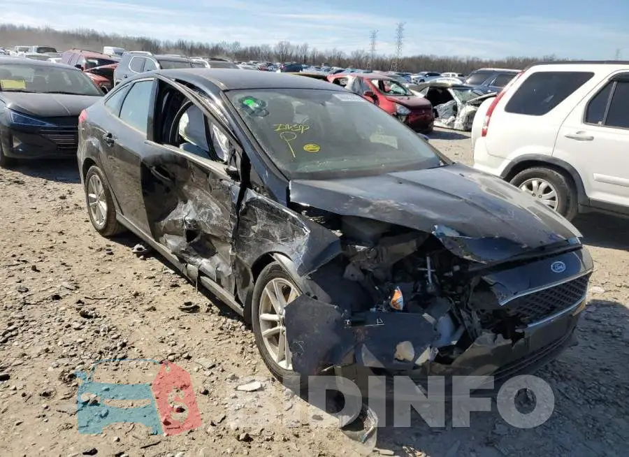 1FADP3F21HL251830 Photo# 4