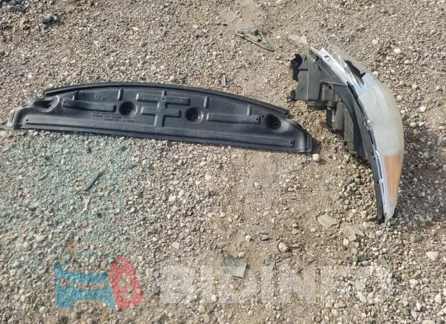 5NPEC4AC2EH833581 Photo# 12