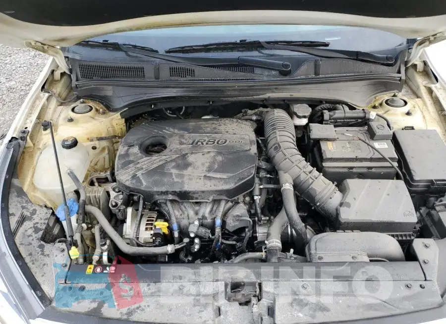 3KPF44AC5LE215545 Photo# 11