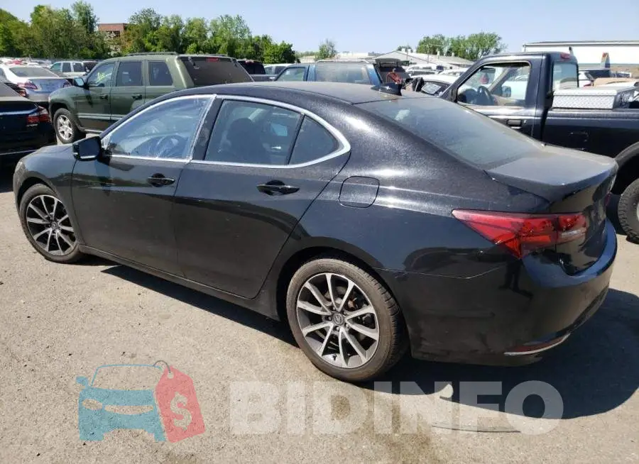 19UUB2F32FA019081 Photo# 2