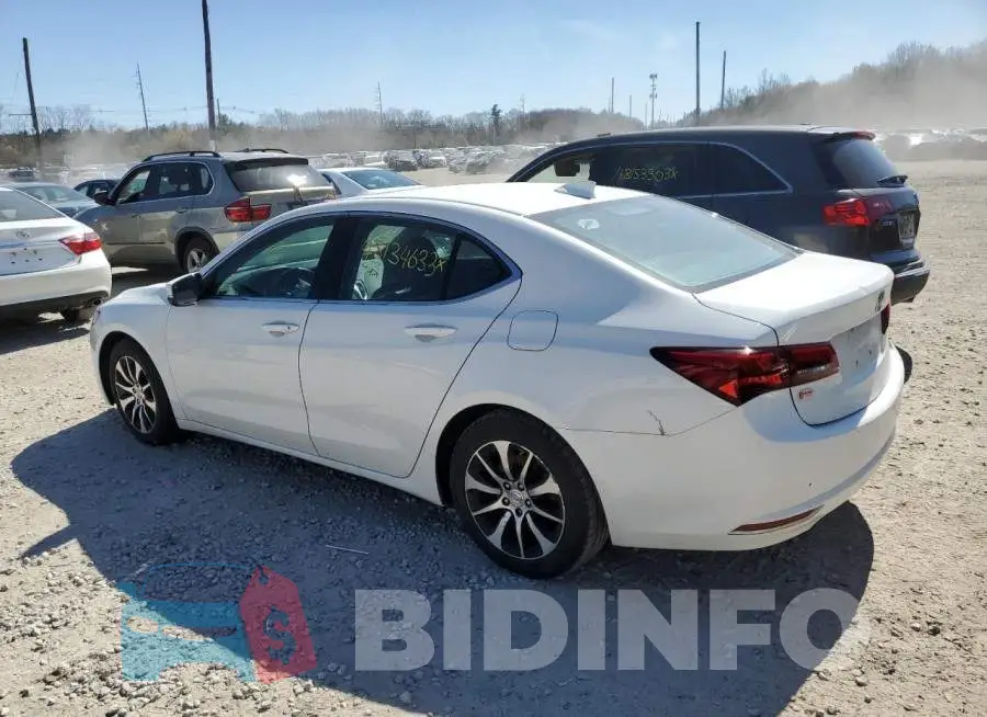 19UUB1F38FA010265 Photo# 2