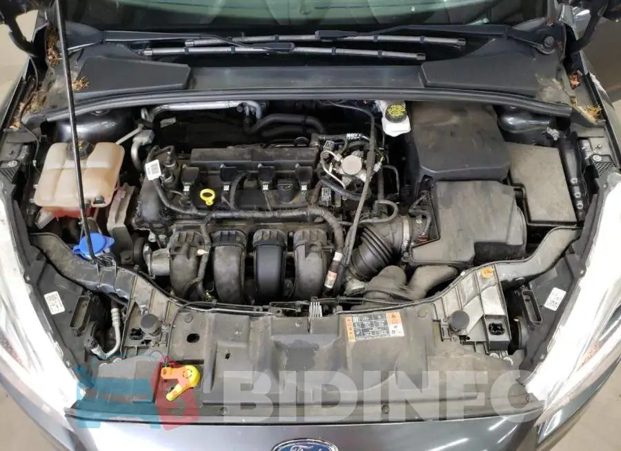 1FADP3E26HL335451 Photo# 11