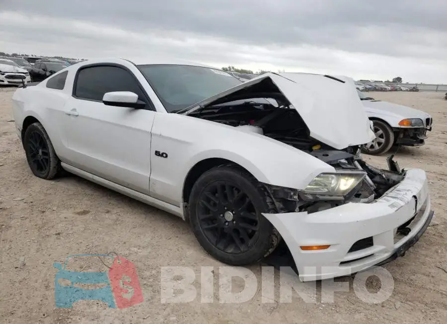 1ZVBP8CFXE5204623 Photo# 4