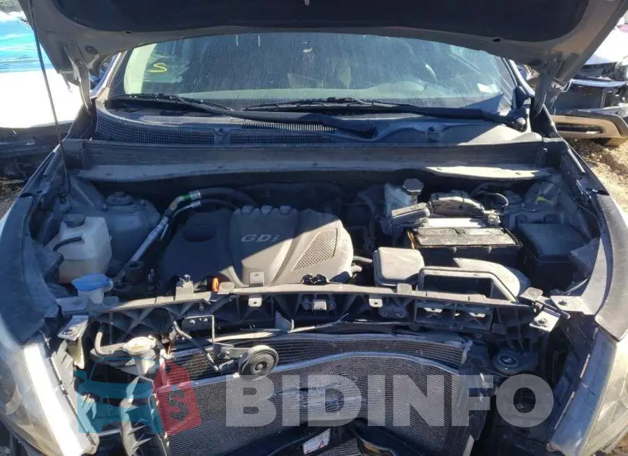 KNDPB3AC5G7812284 Photo# 12